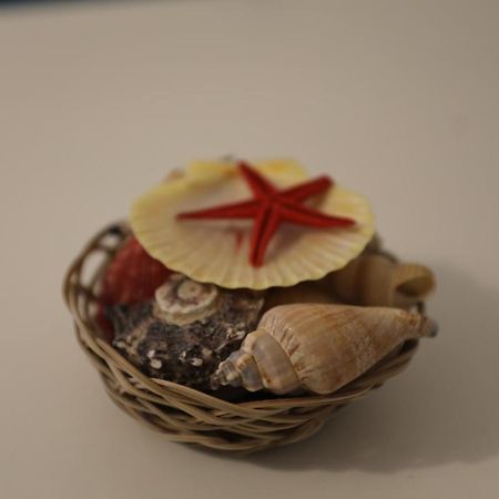Trinità dʼAgultuIsola Rossa Elite别墅 外观 照片